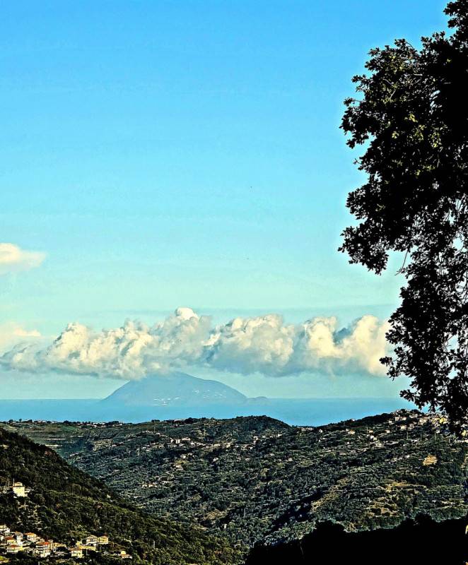 Casa indipendente, Tortorici