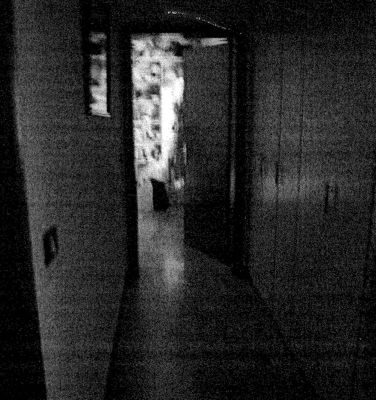  - foto 9