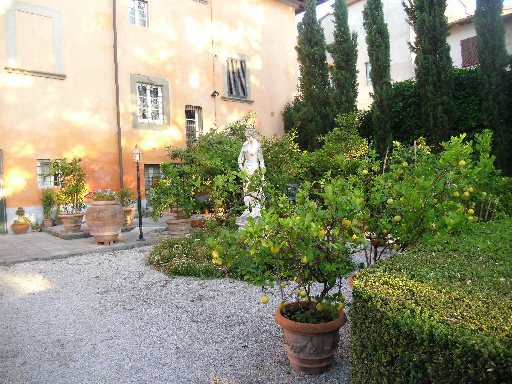  - foto 12