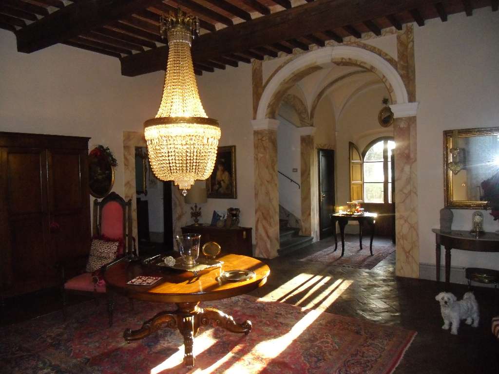  - foto 17