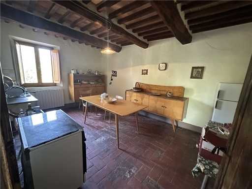  - foto 19