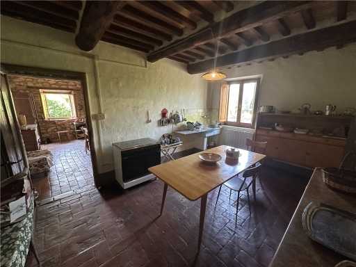  - foto 20