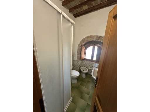  - foto 29