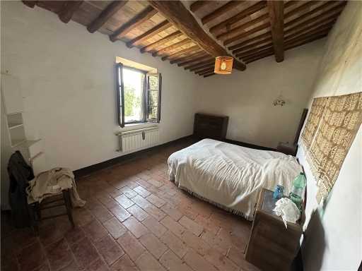  - foto 44