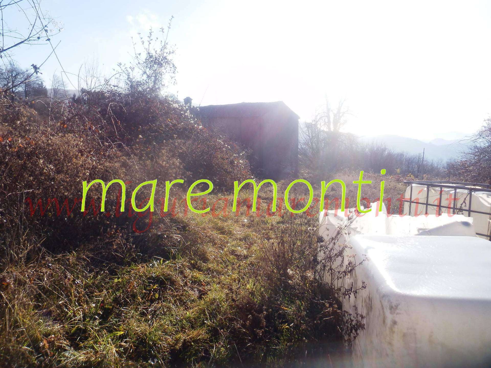  - foto 14