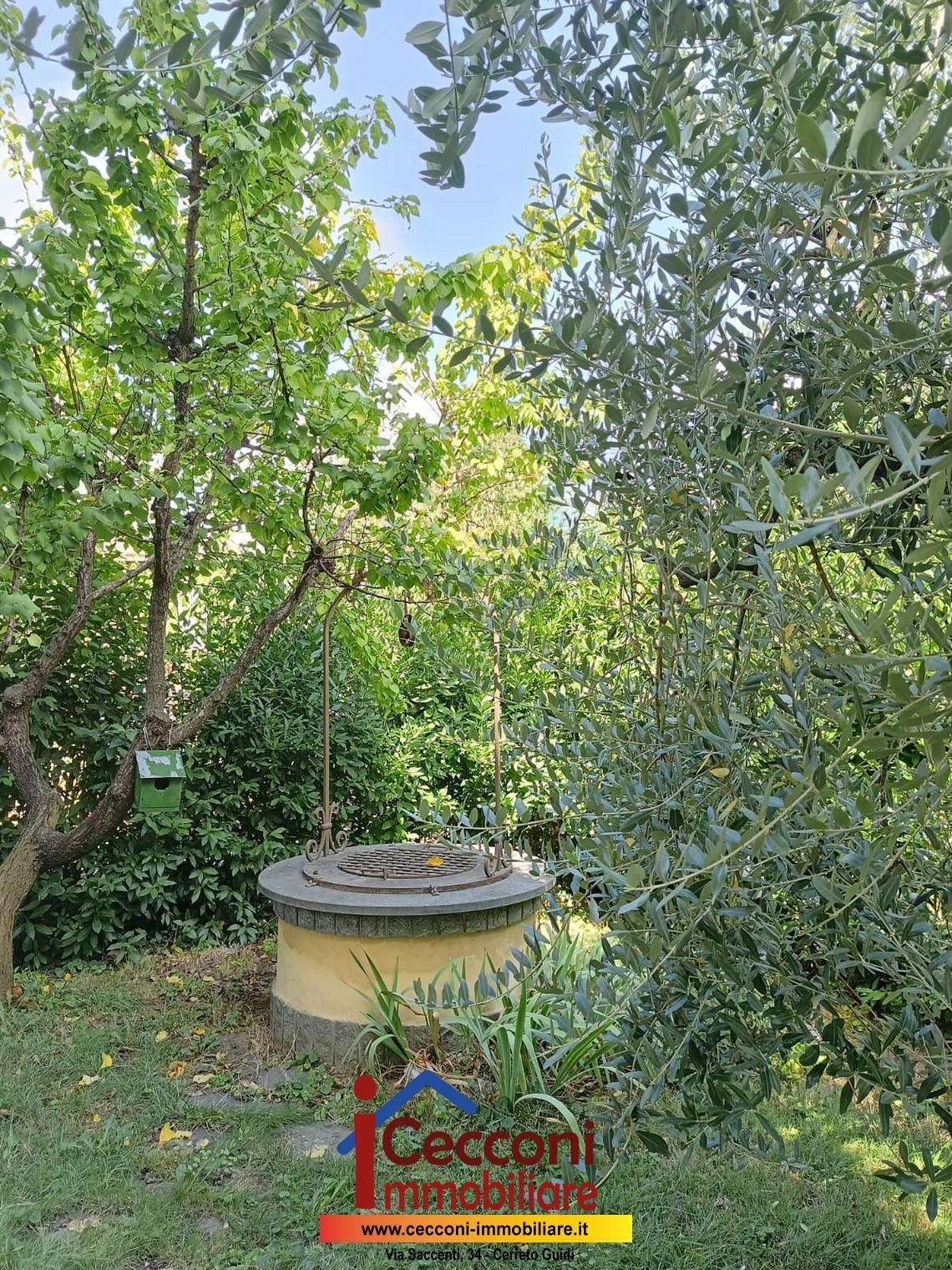  - foto 11