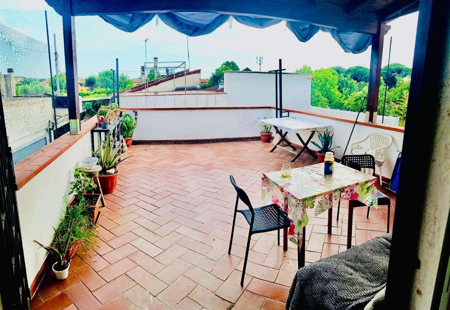  - foto 2