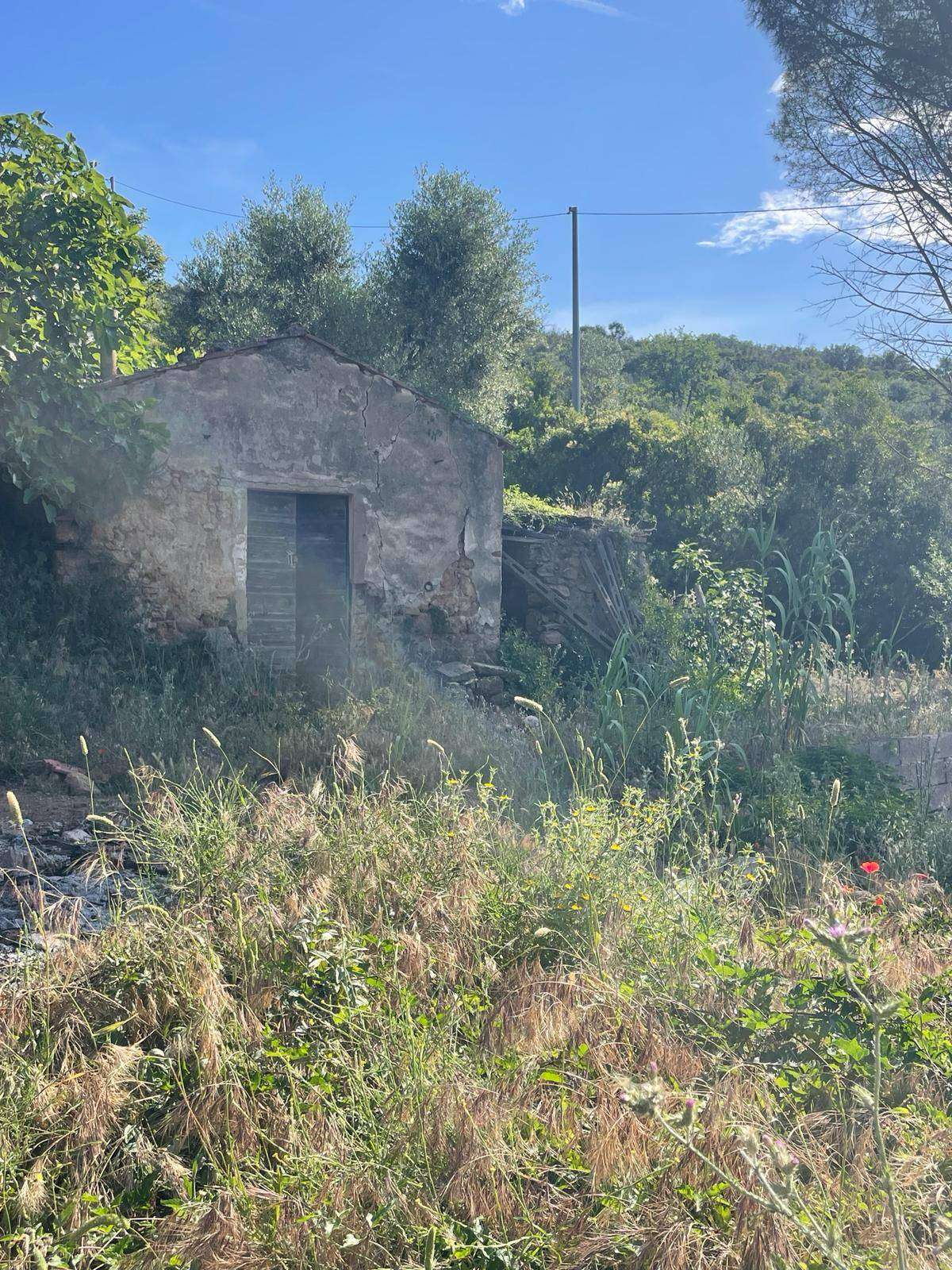  - foto 4