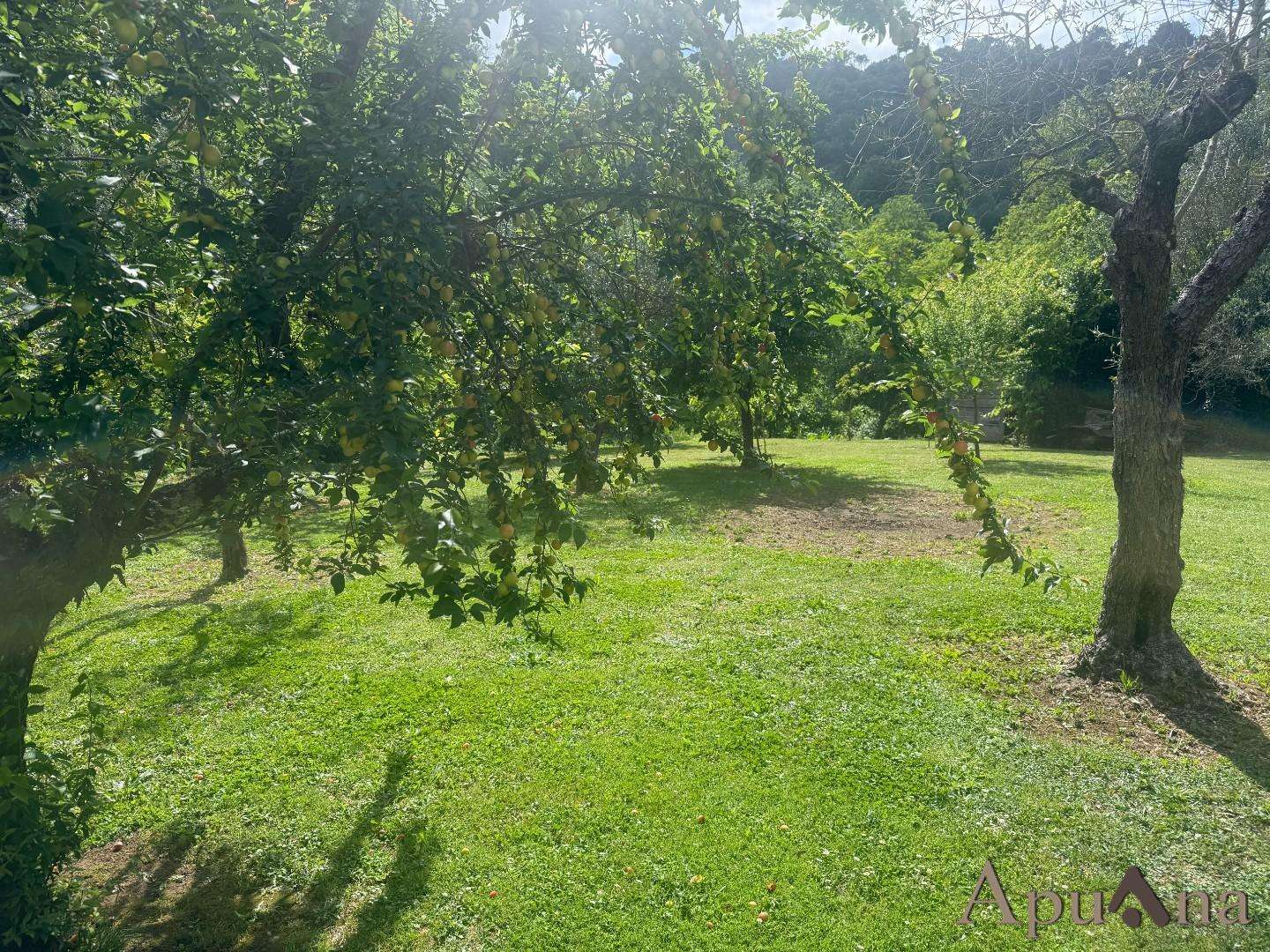  - foto 19