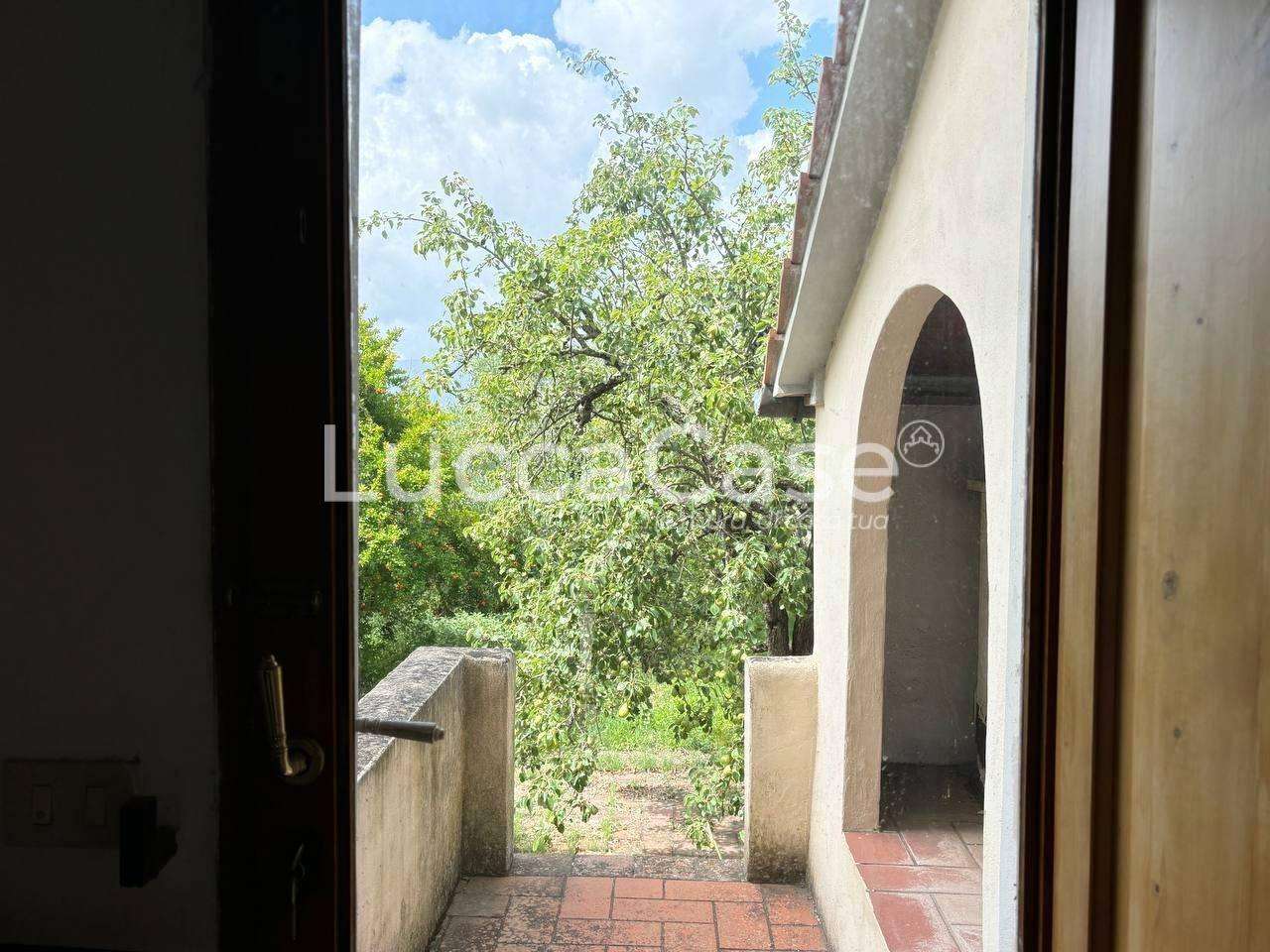  - foto 21