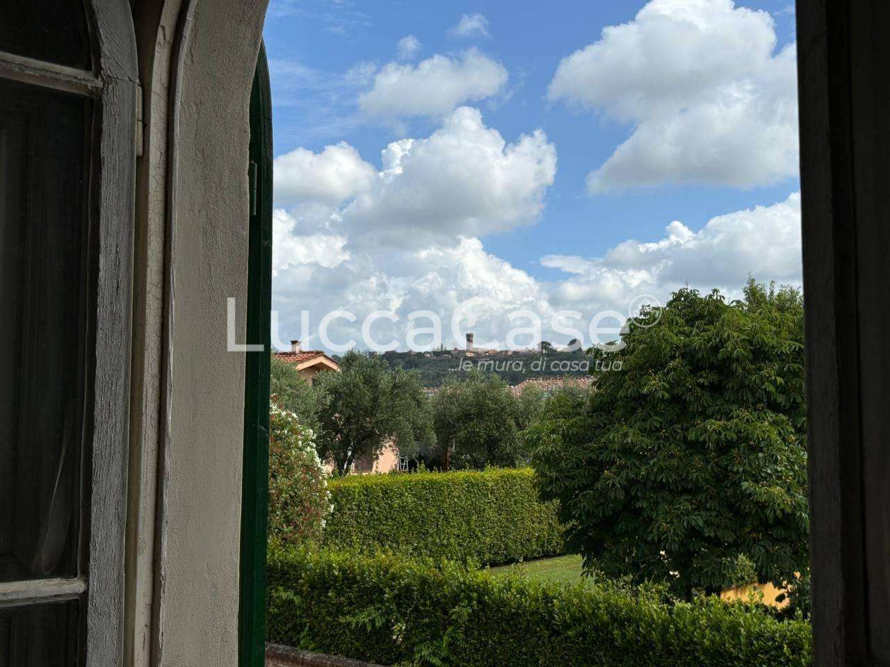  - foto 31