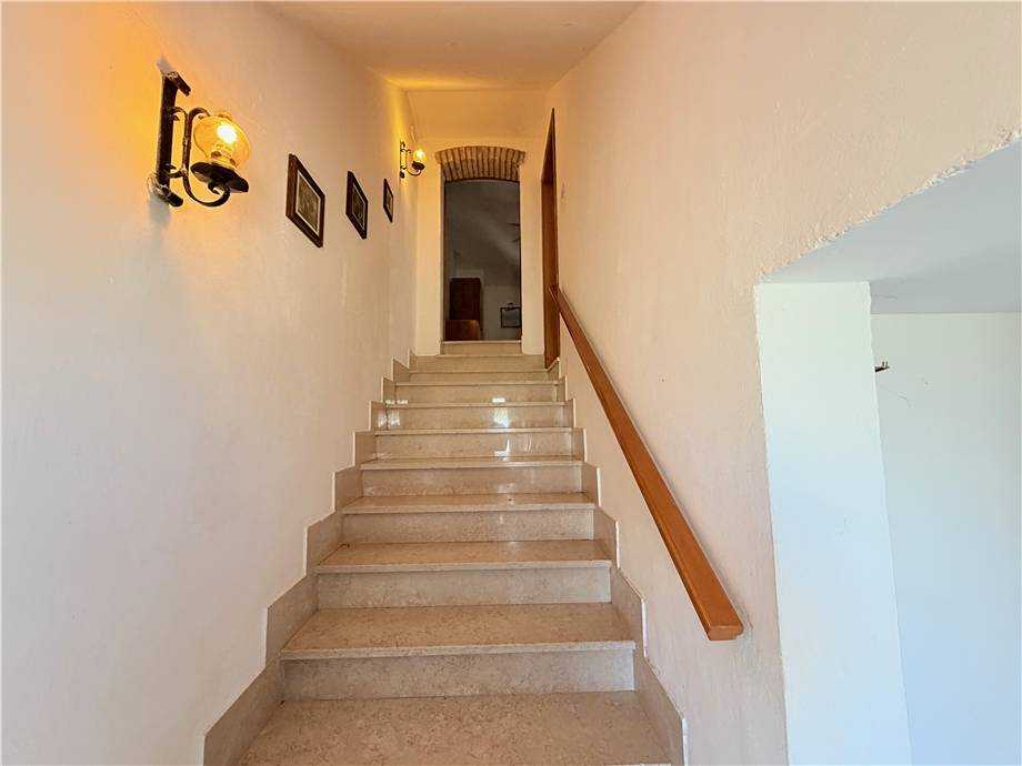  - foto 18