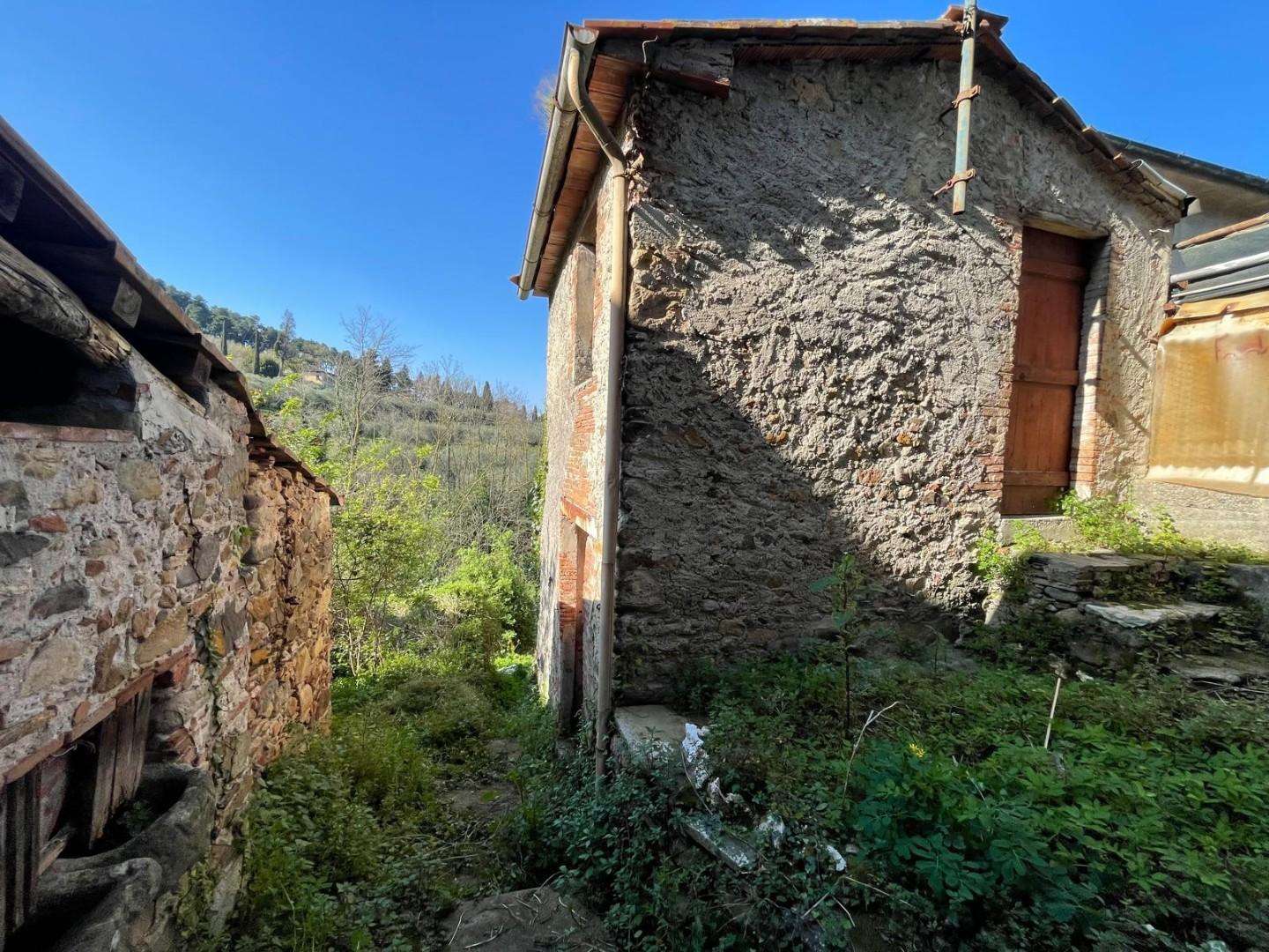  - foto 61