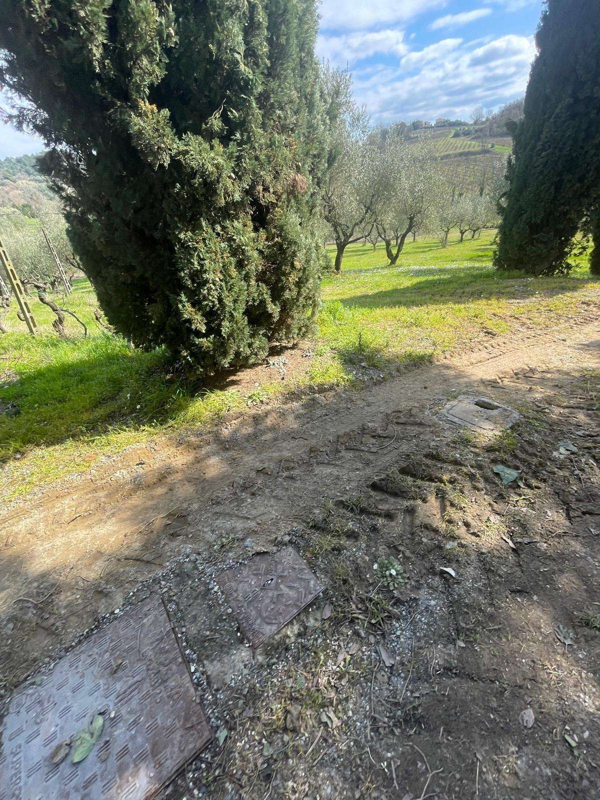  - foto 32