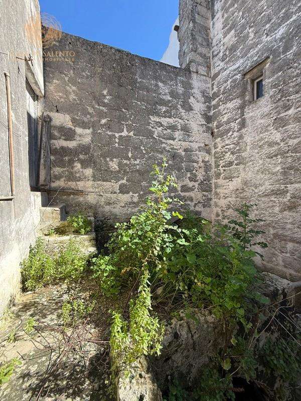  - foto 12