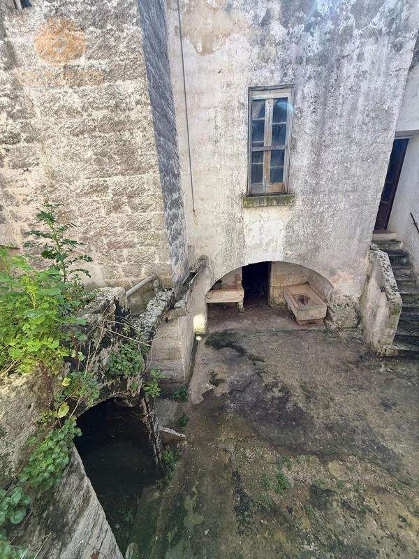 - foto 13