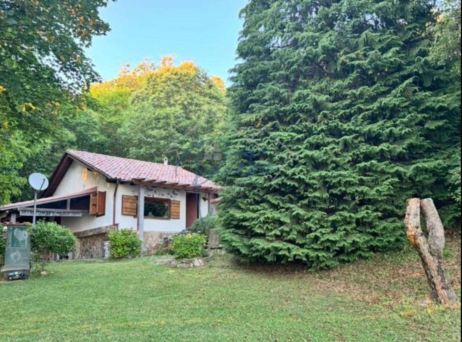  - foto 12