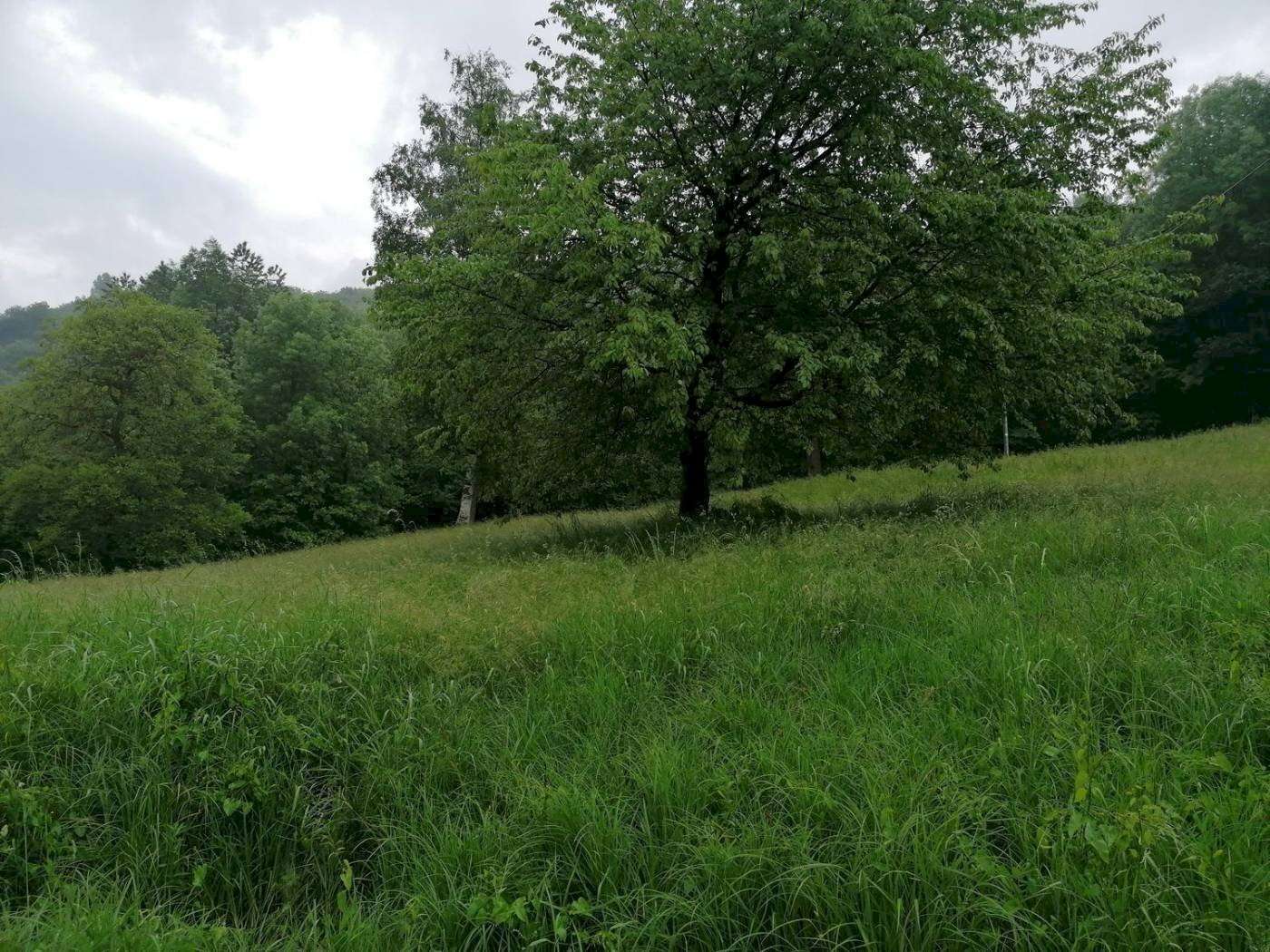  - foto 12