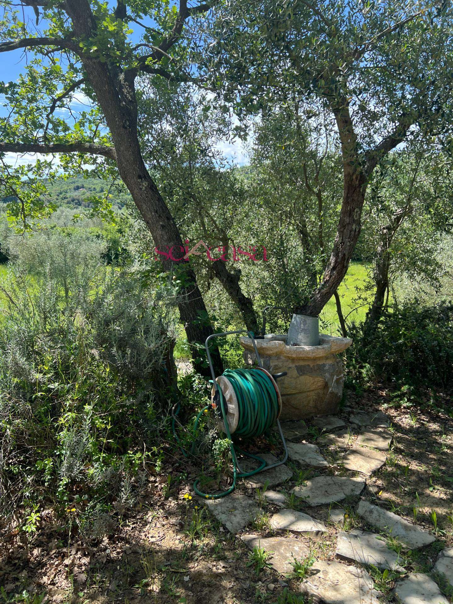 - foto 23