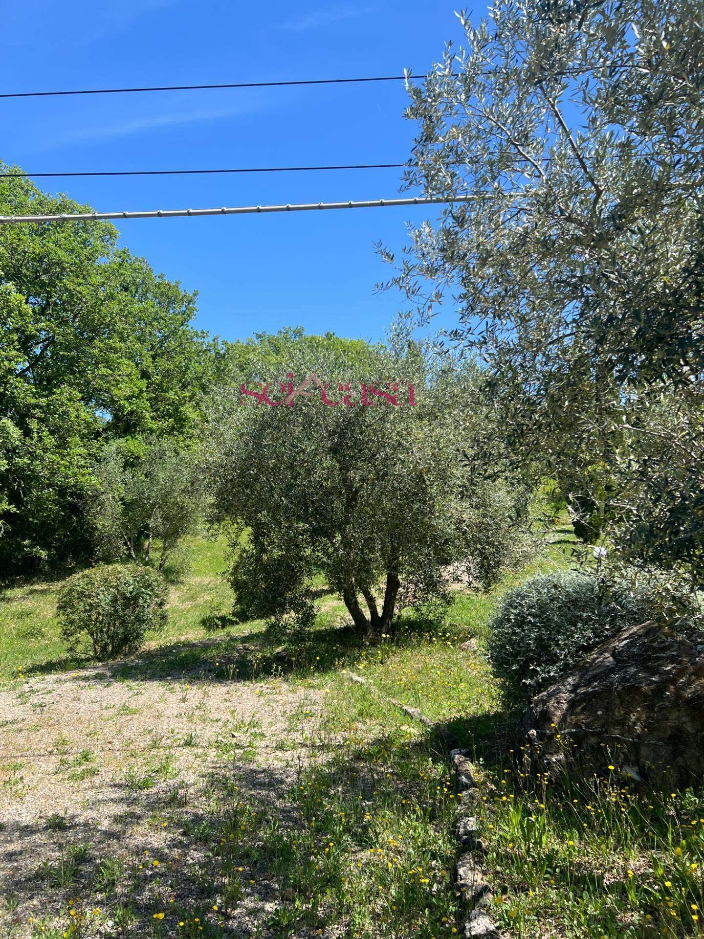  - foto 32