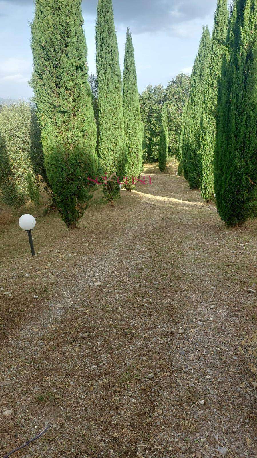  - foto 35