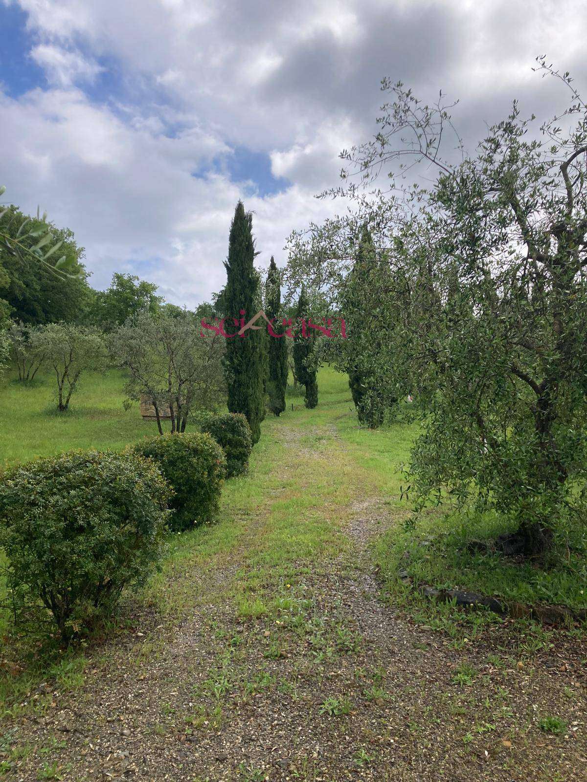  - foto 48