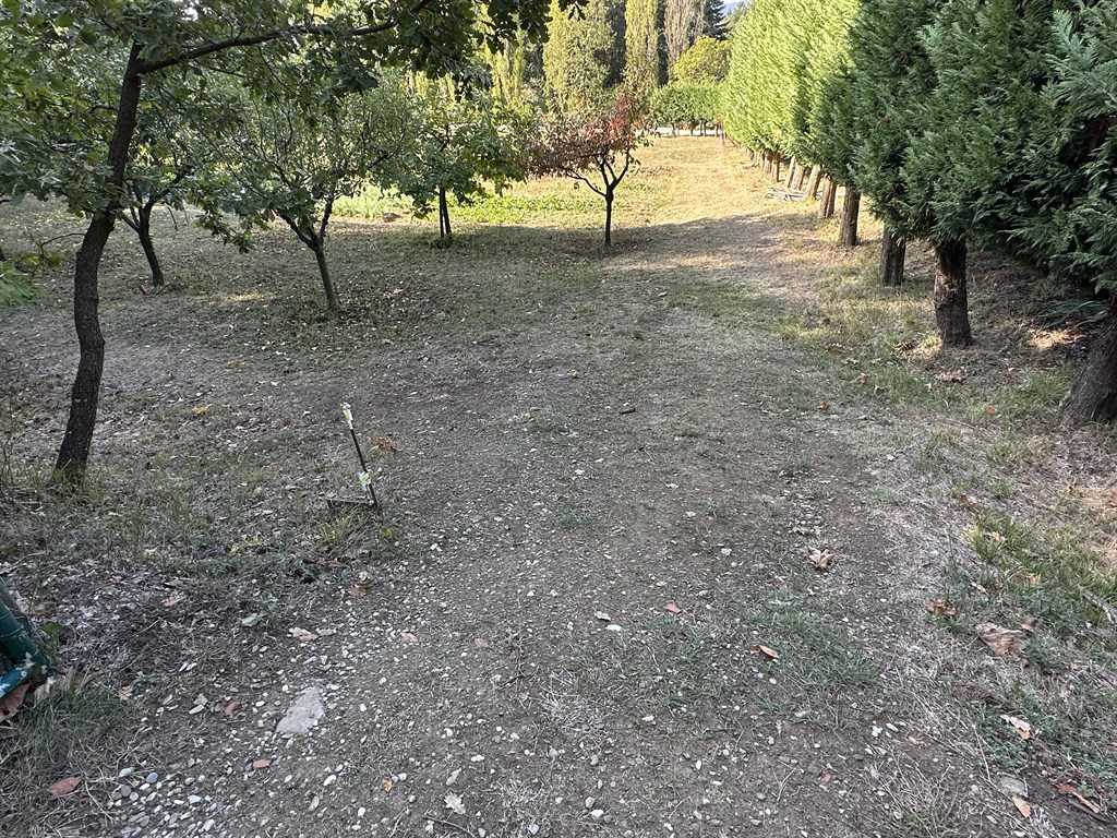  - foto 2