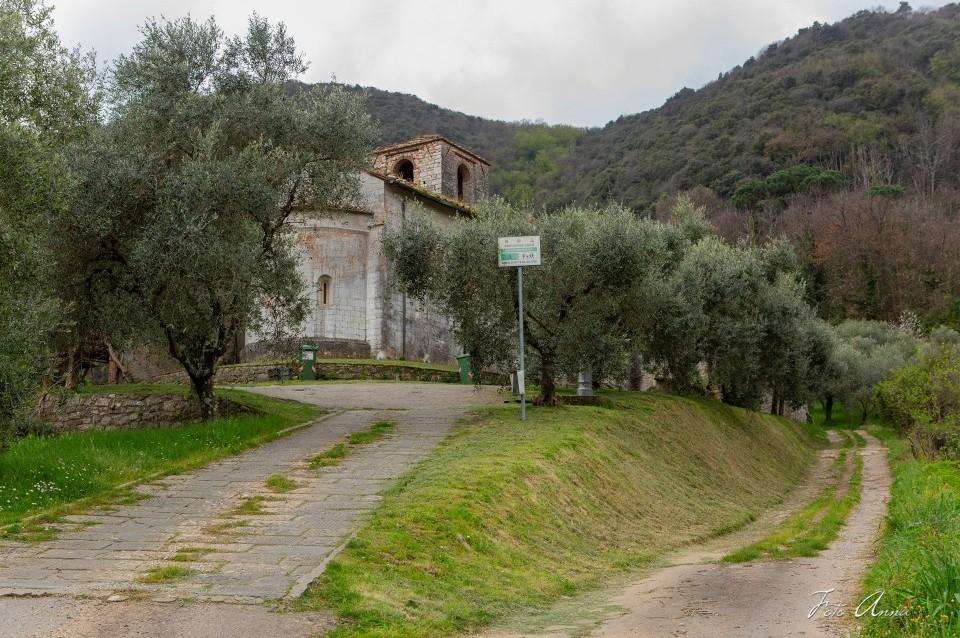  - foto 84
