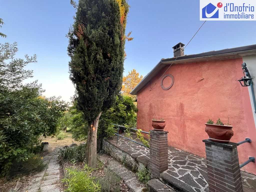  - foto 4