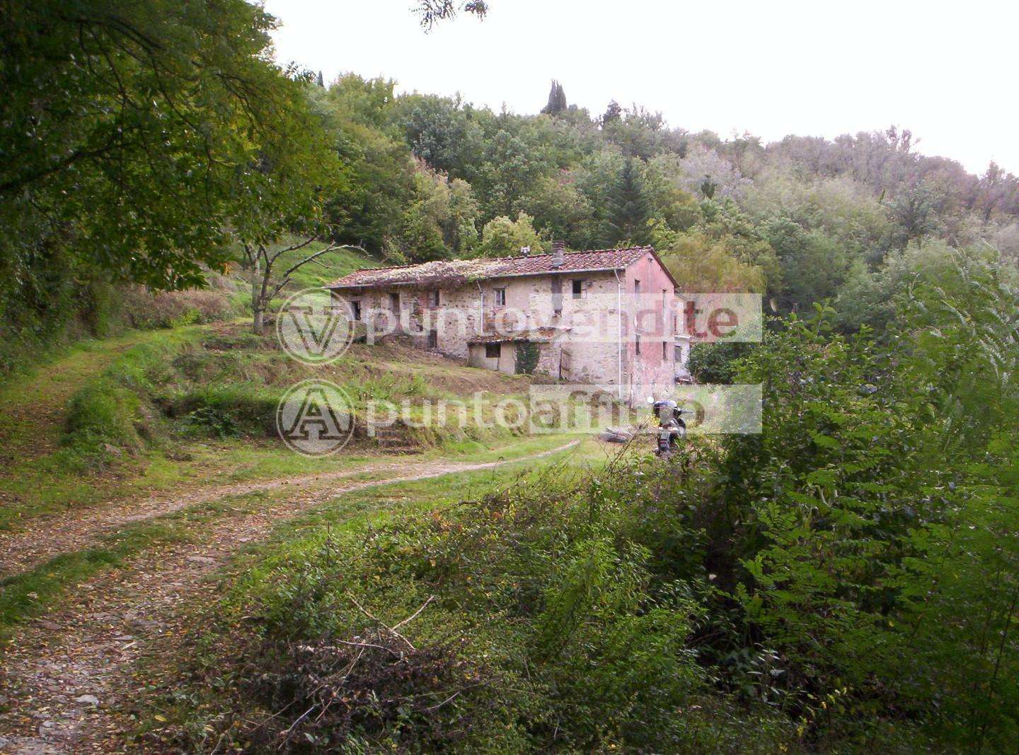Casale Ludovica, Lucca