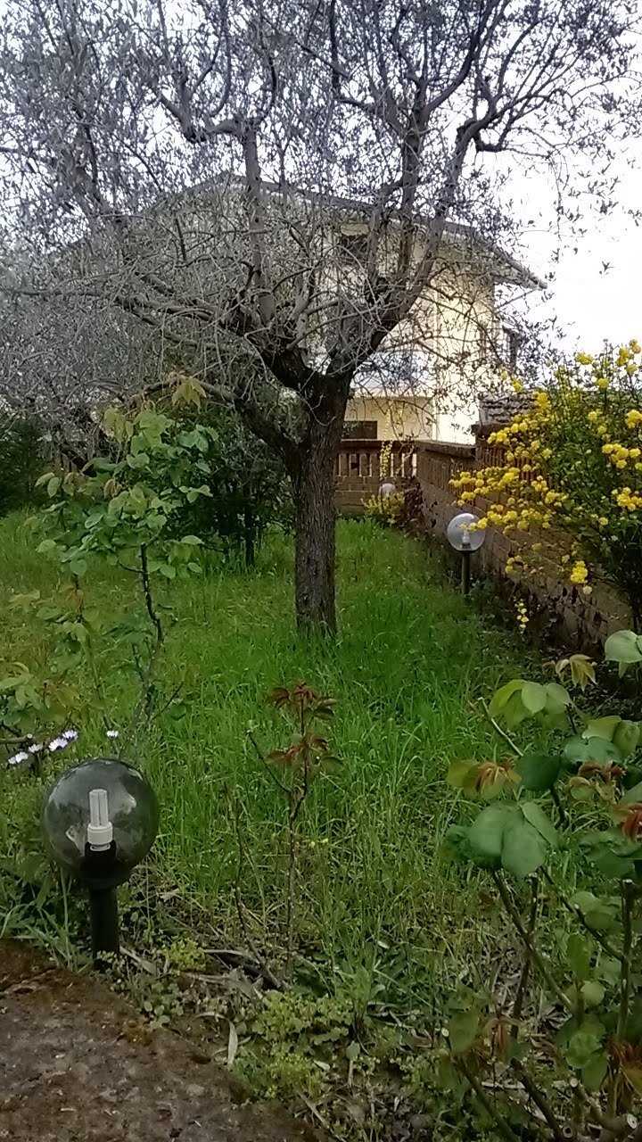  - foto 28