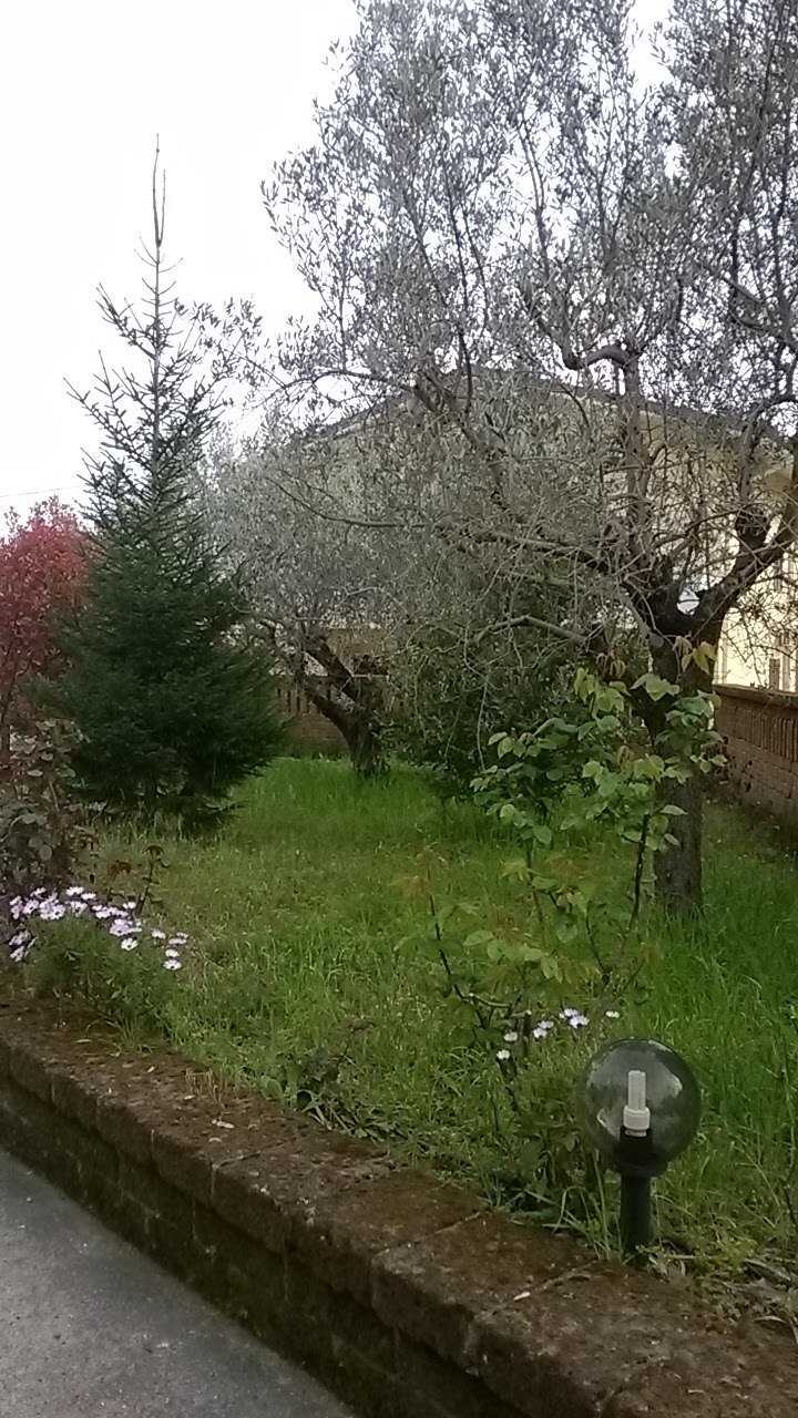  - foto 30