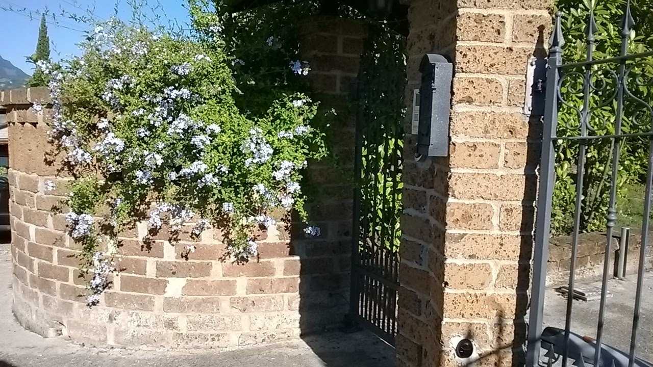 - foto 33