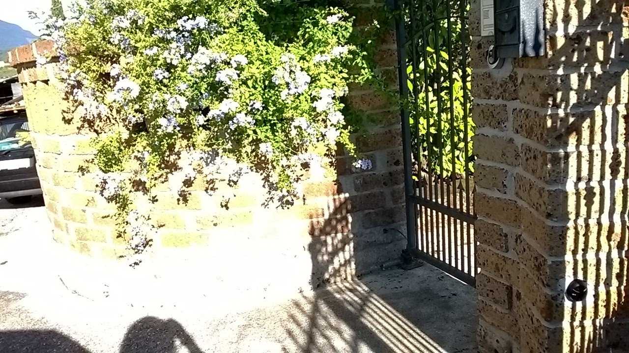  - foto 34