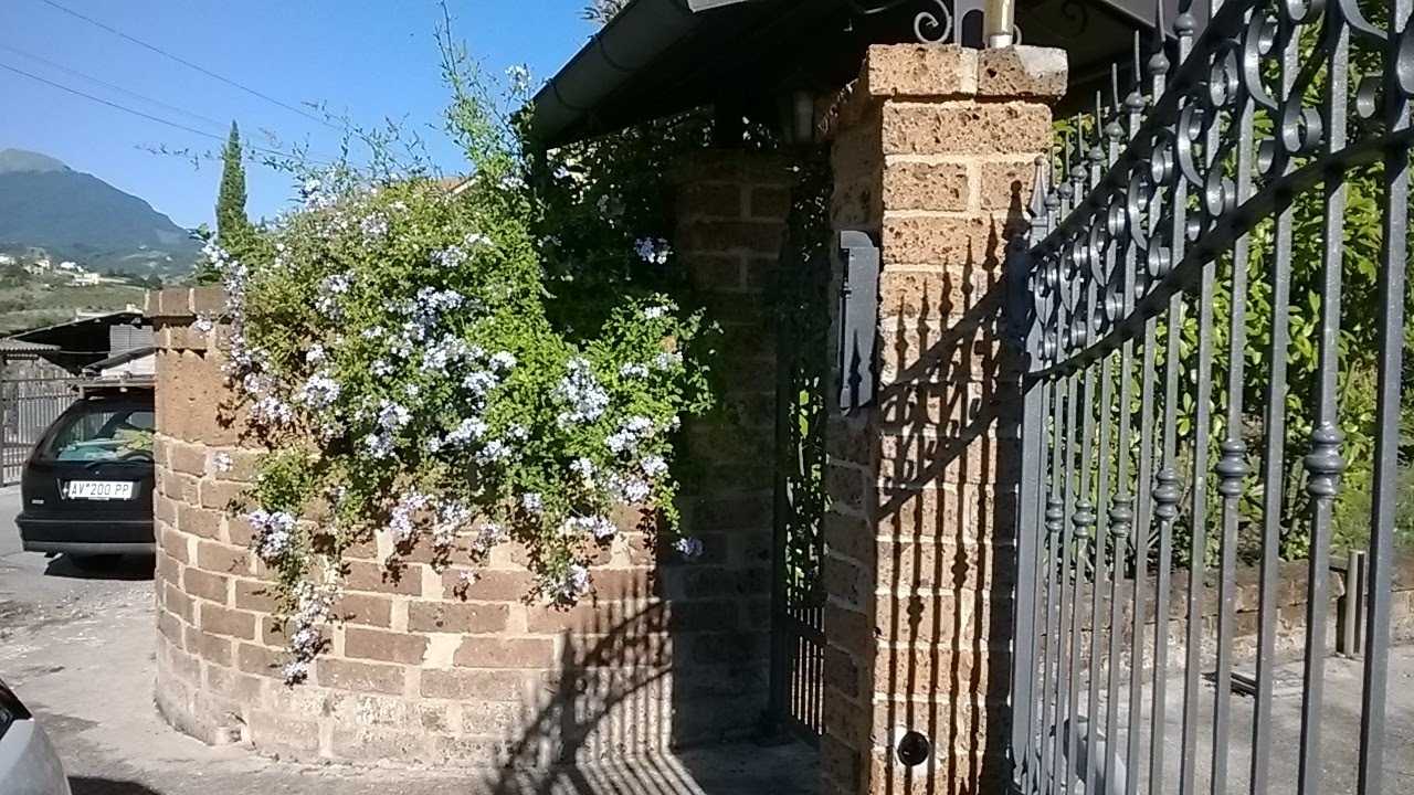  - foto 35
