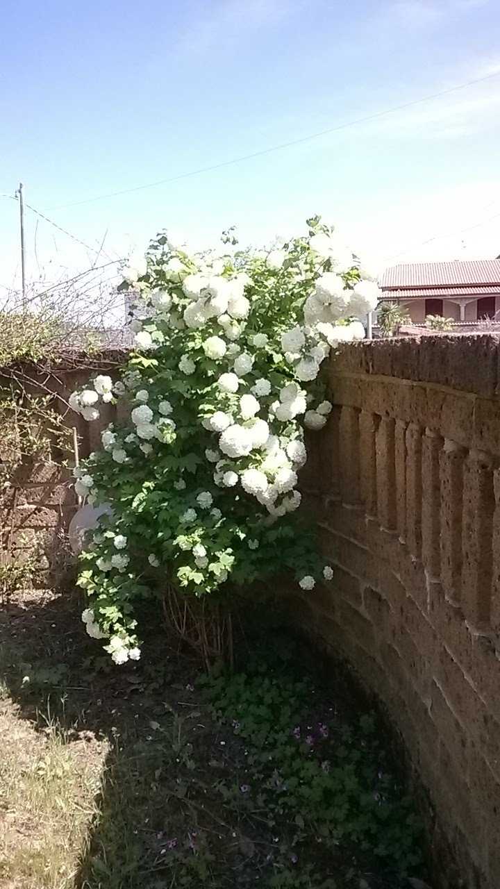  - foto 37