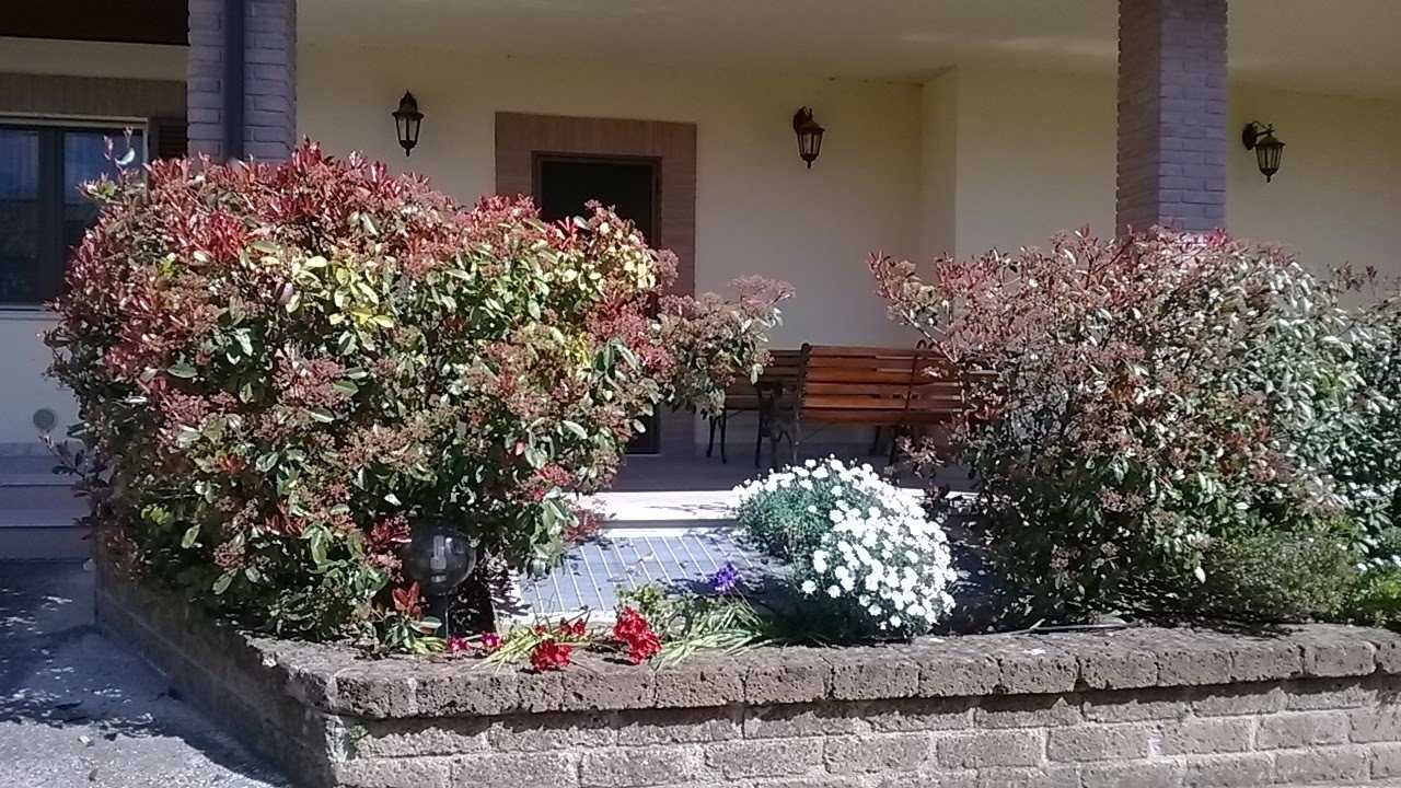  - foto 4