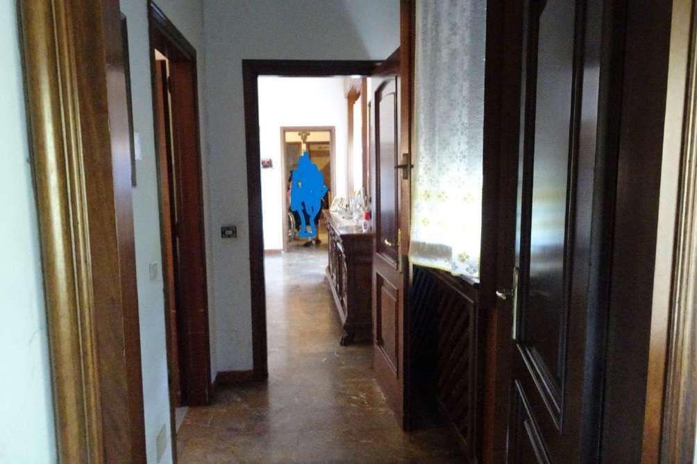 - foto 11