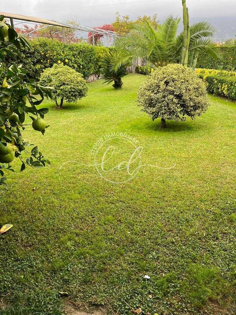  - foto 11