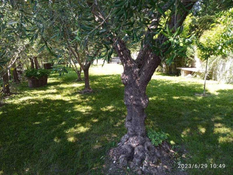  - foto 8