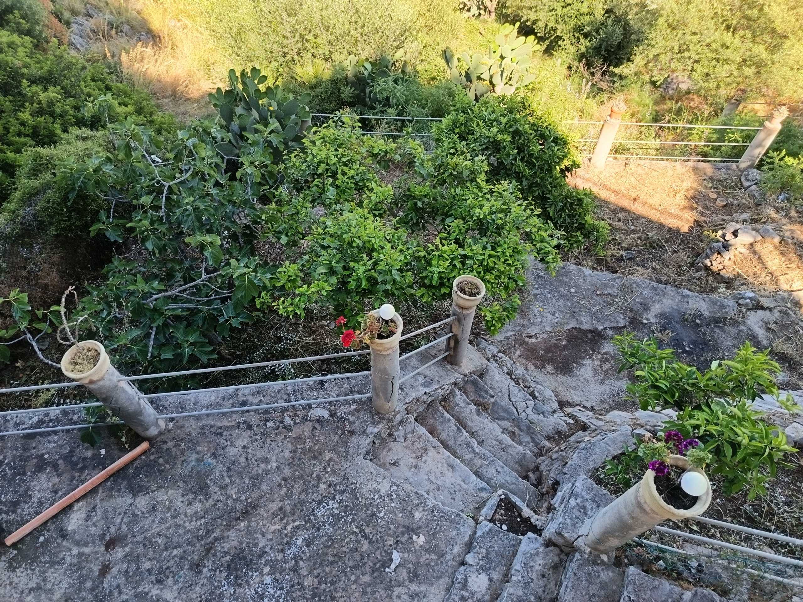  - foto 101