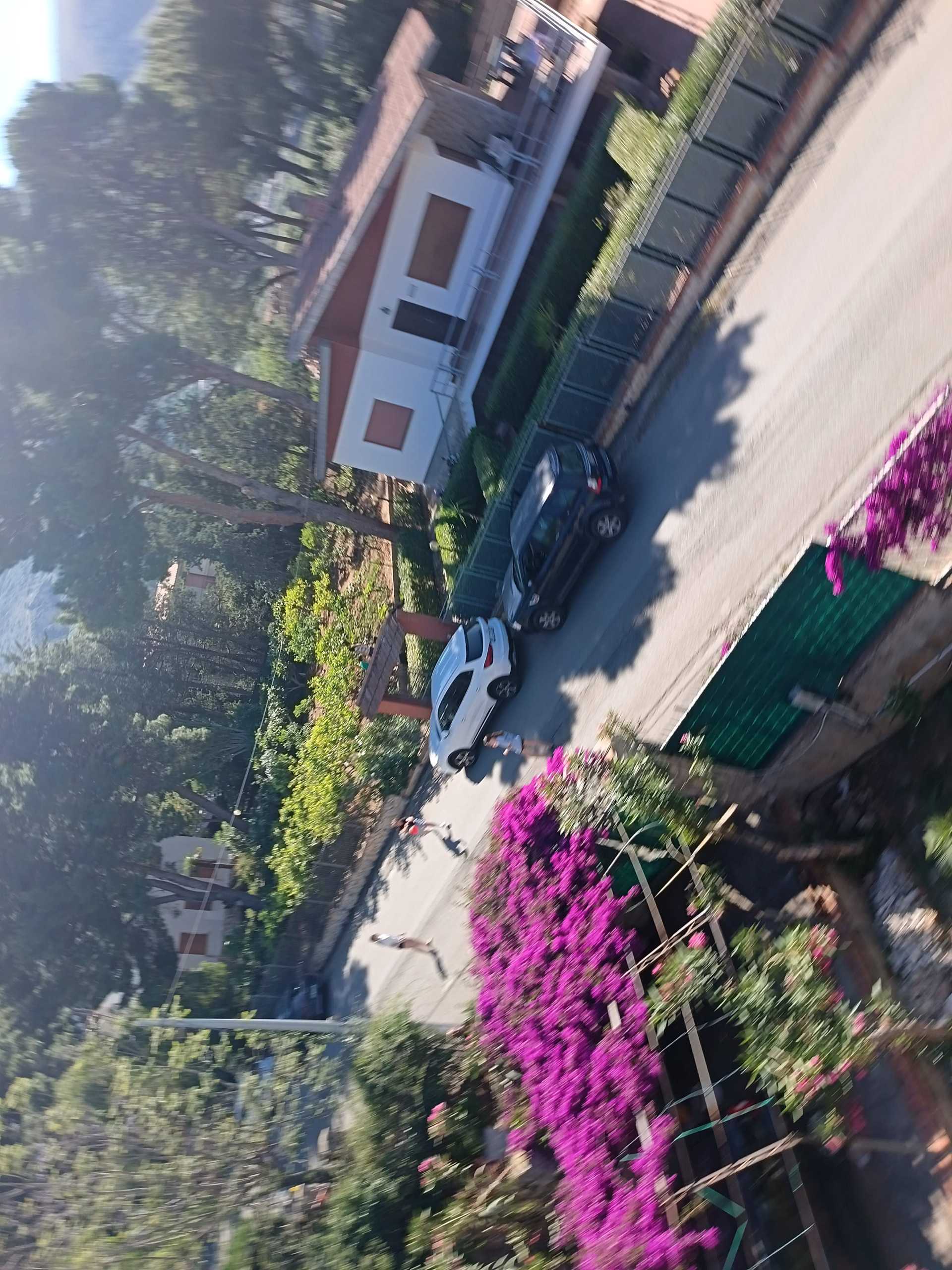  - foto 43