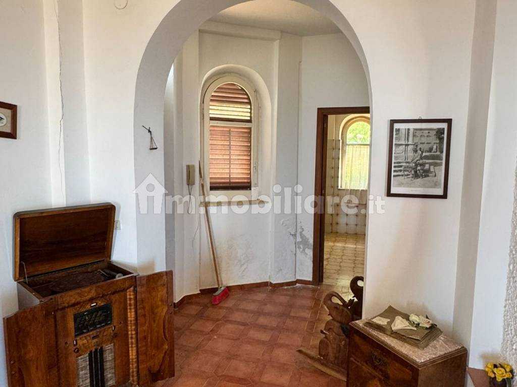  - foto 15