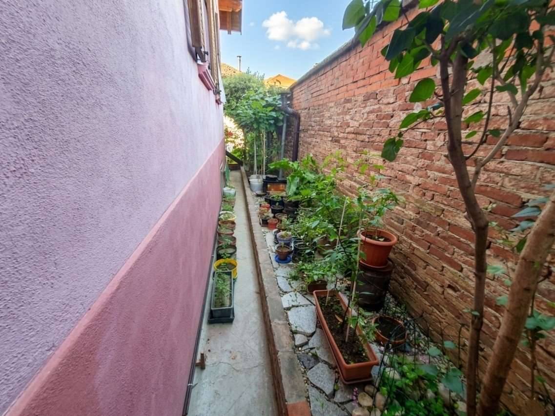  - foto 7