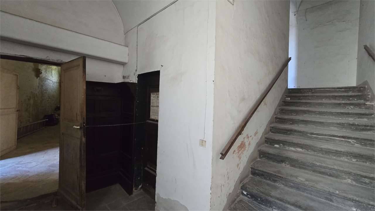  - foto 10