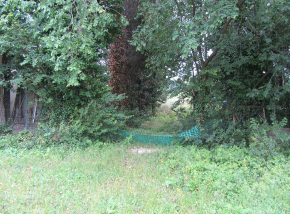  - foto 2
