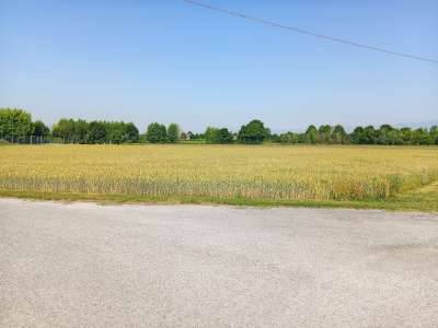 Terreno agricolo, Gaiarine