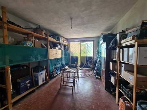  - foto 20