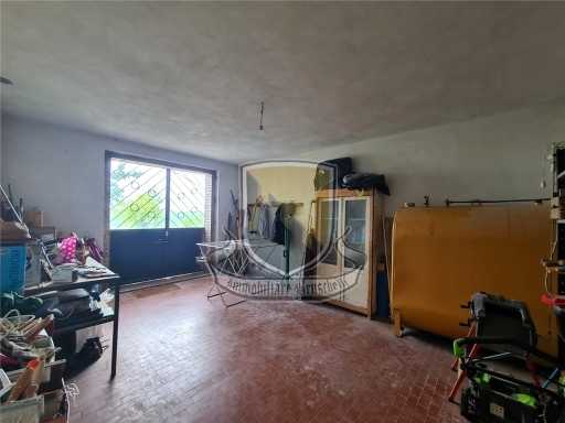  - foto 21