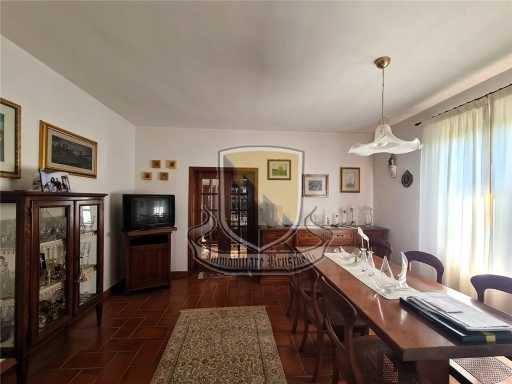  - foto 30